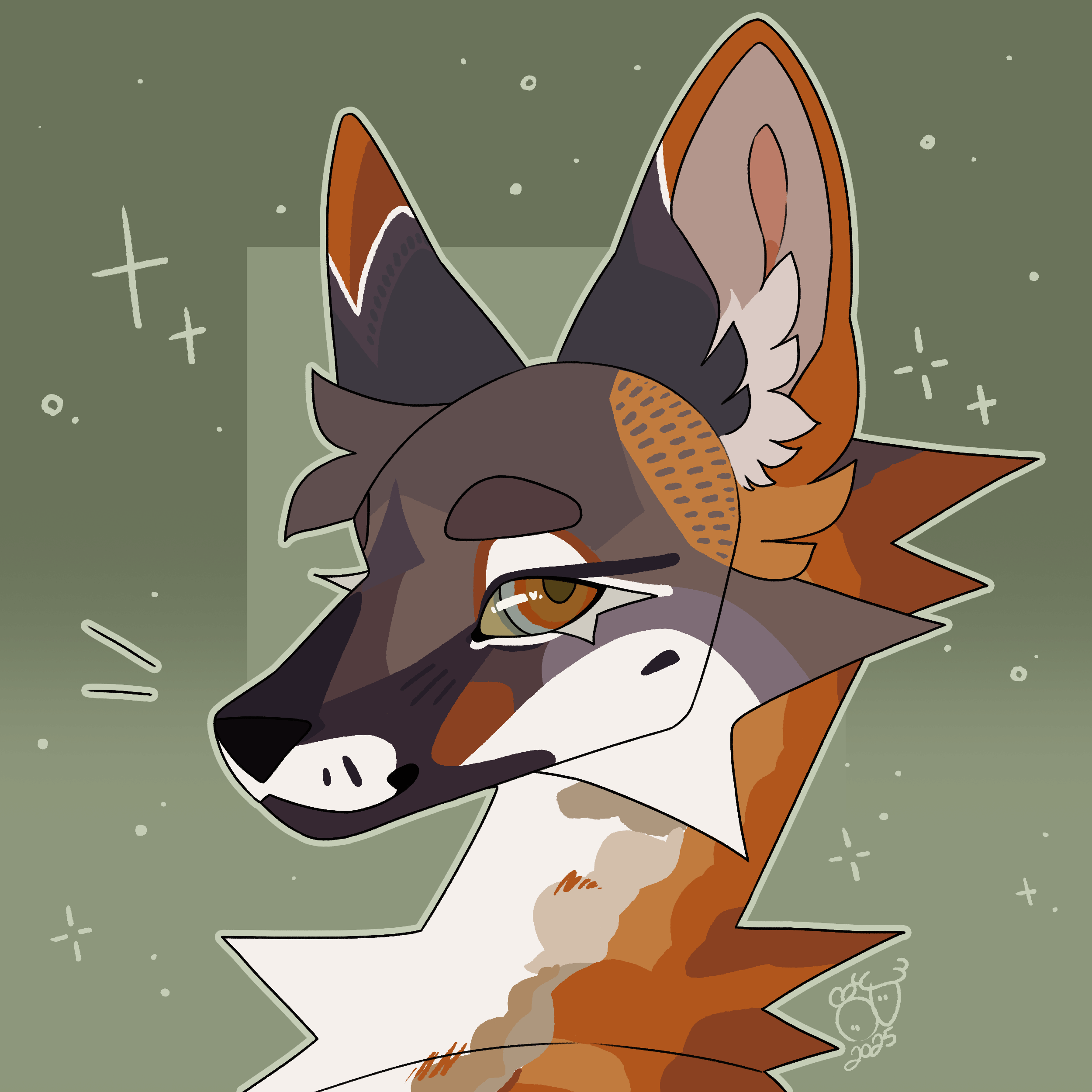 Non-Symmetrical Icon